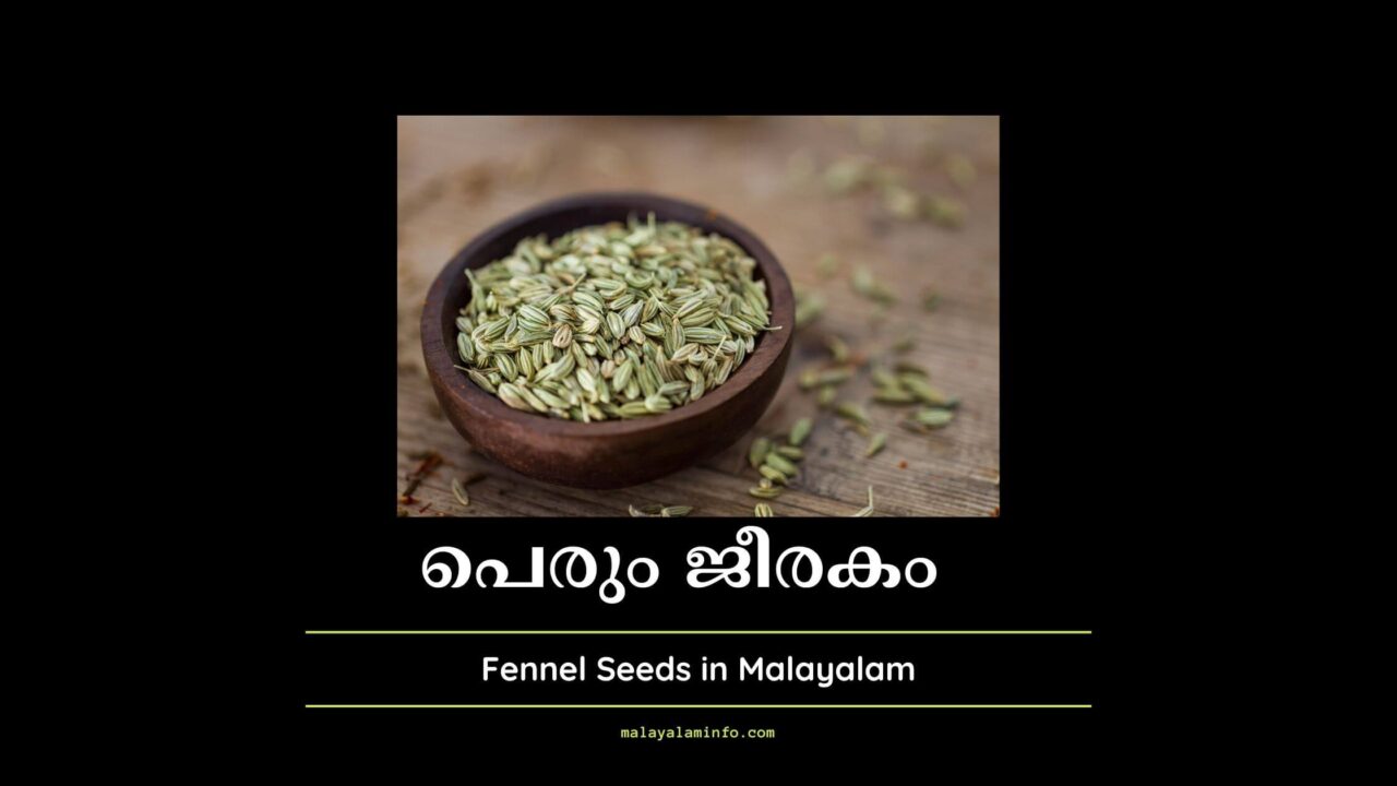 പര ജരകതതനറ ആരഗയ ഗണങങൾ Fennel Seeds in Malayalam