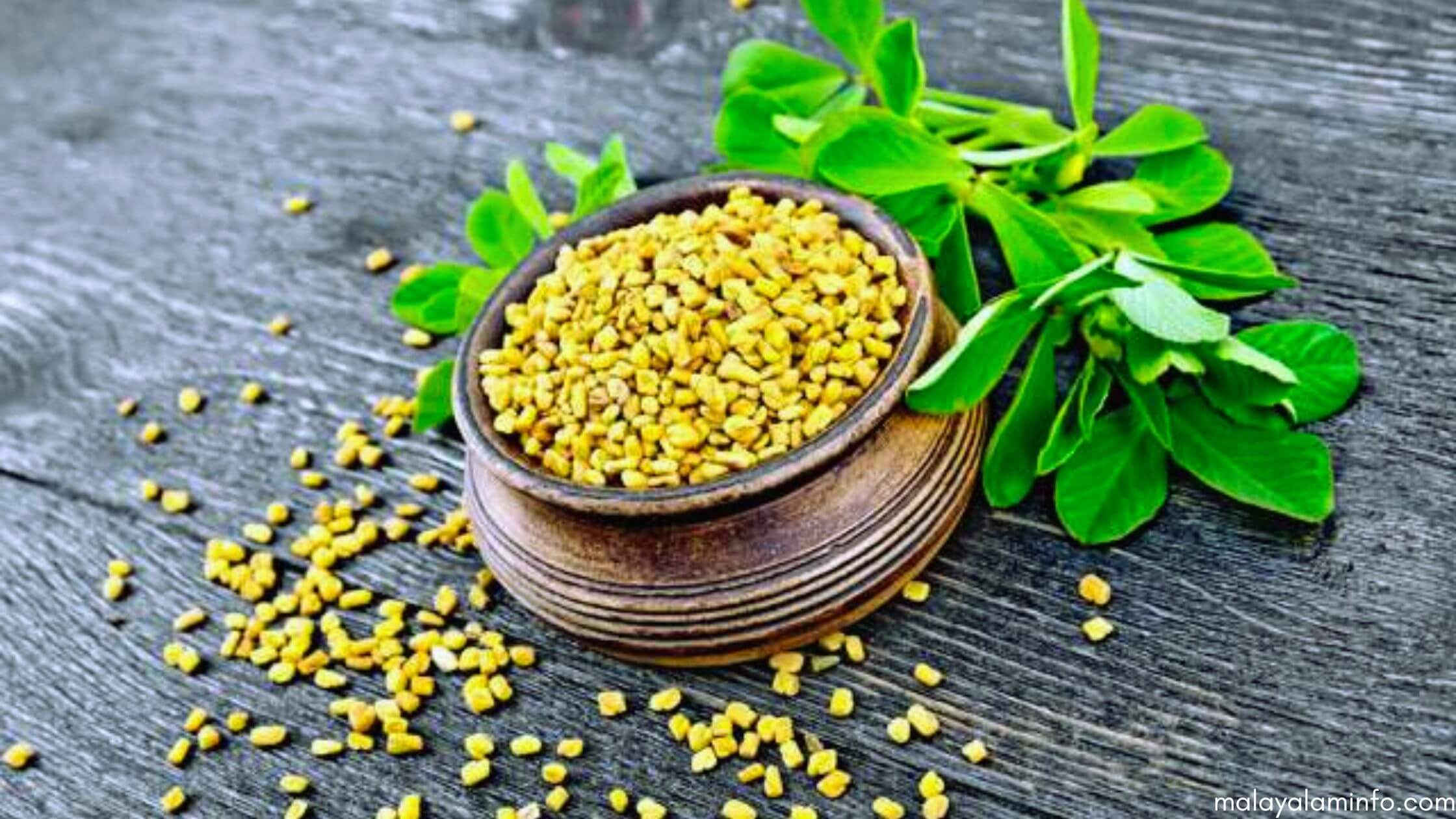 Fenugreek Meaning In Malayalam 