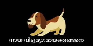 malayalam stories for kids