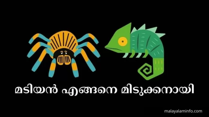 malayalam stories for kids