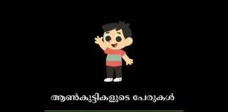 Malayalam Baby Boy Names