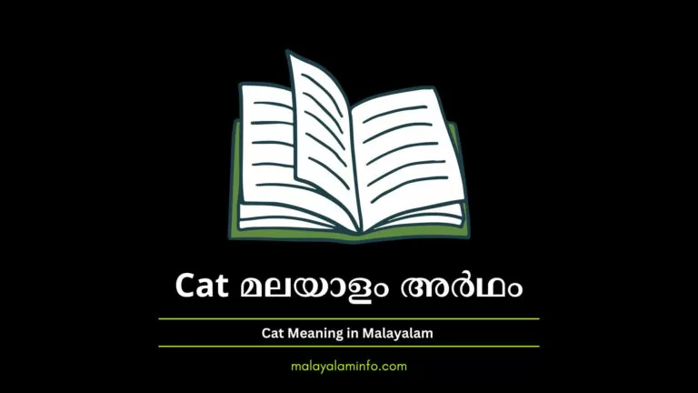 Cat meaning in malayalam