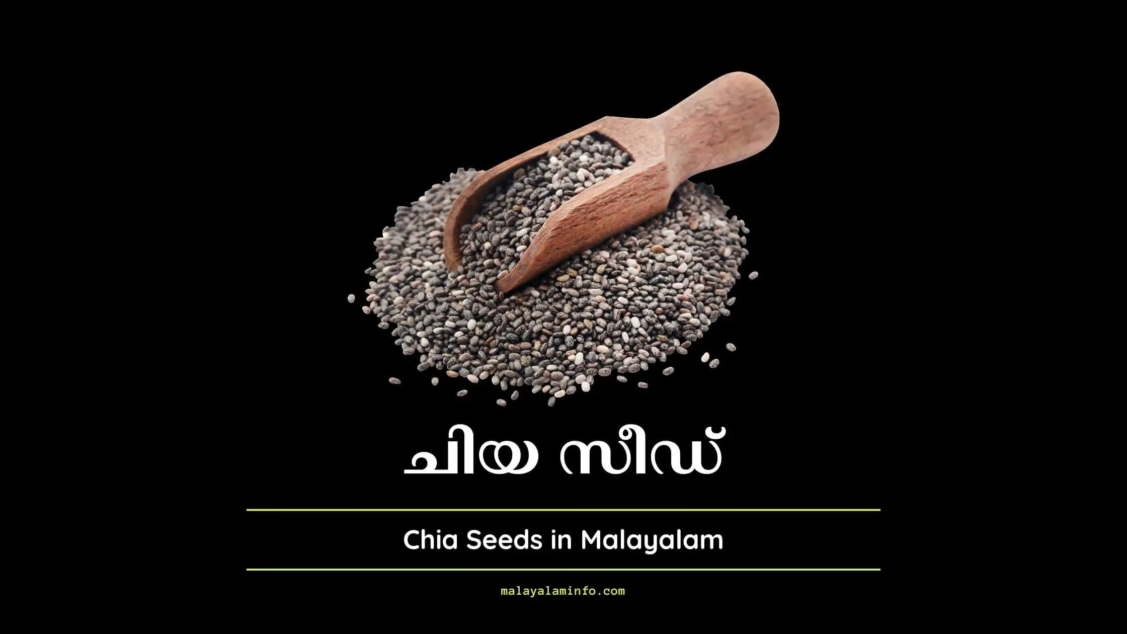 Chia Seeds in Malayalam