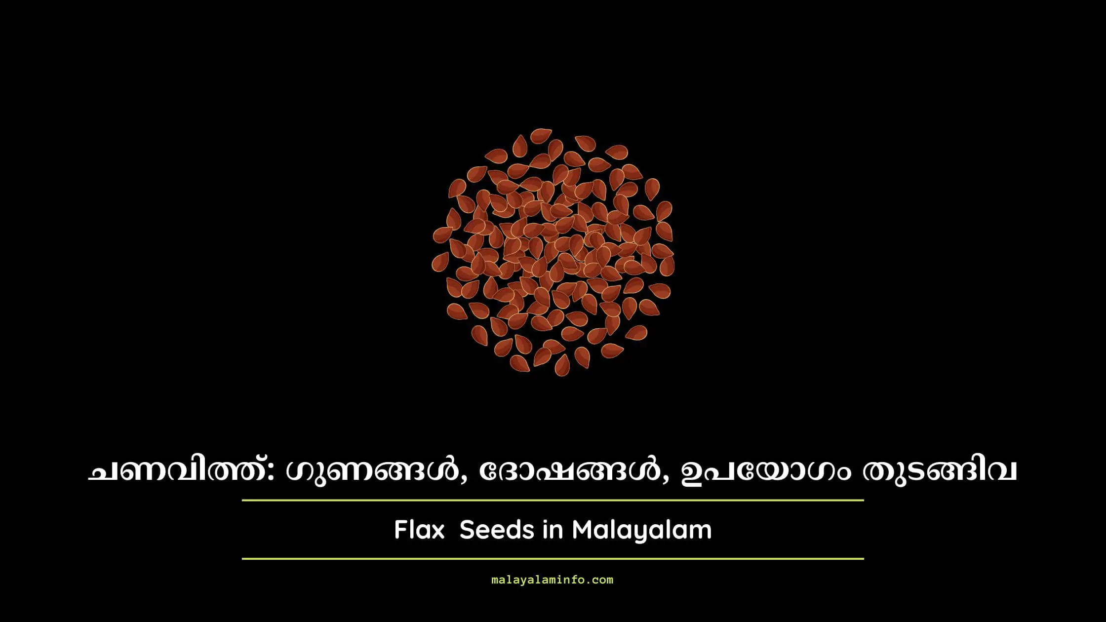 Flax Seeds in Malayalam